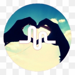 Download Hd Heart Musically Musical - Musically Logos Png,Musical Ly Png