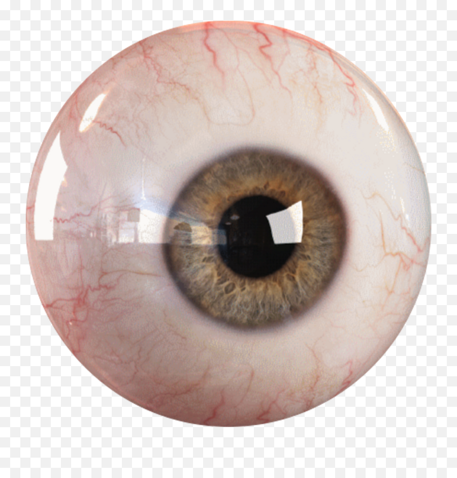 Download Eye Bloodshot Blood Redeye - Correct Order Of An Eye Png,Red Eye Transparent