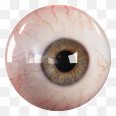 Download Eye Bloodshot Redeye - Correct Order Of An png
