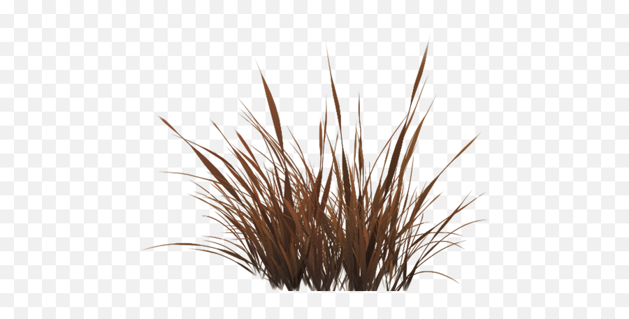 Grass With Wind Effect In Unity - Alpha Grass Png Texture,Wind Effect Png