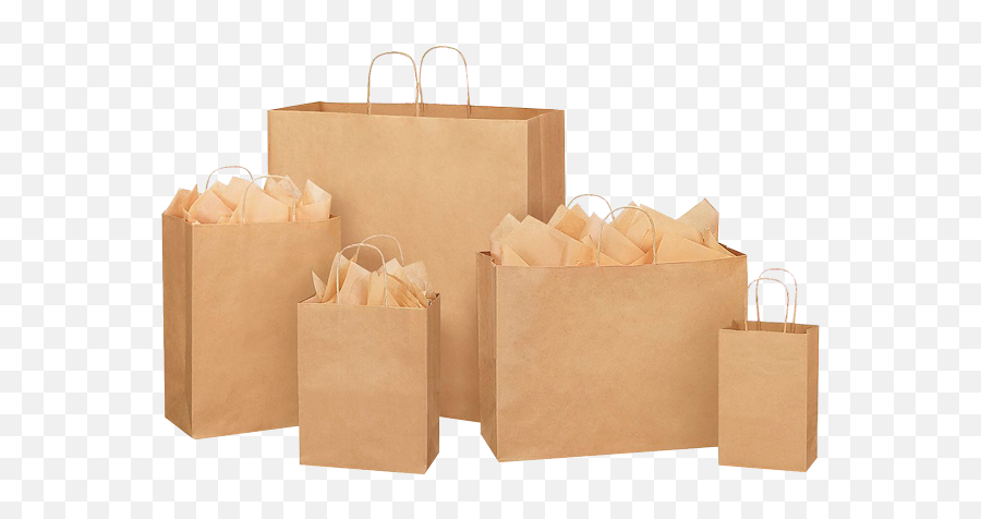 Buy Paper Bags Bulk India Manufacturer - Jewelry Paper Bags Size Png,Paper Bag Png