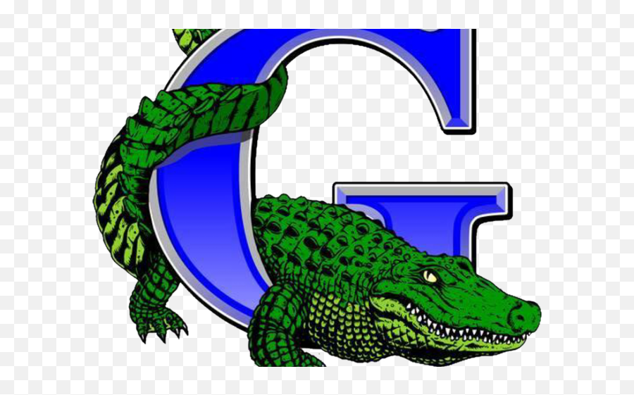 Palm Beach Gardens Gators - Palm Beach Gardens Gators High School Png,Gator Logo Png