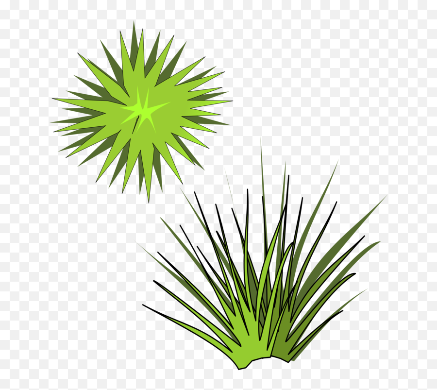 Leaf Flower Shrub - House Plant From Above Vector Png,Bush Plant Png