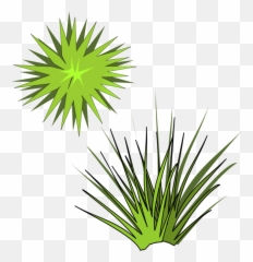Leaf Flower Shrub - House Plant From Above Vector png