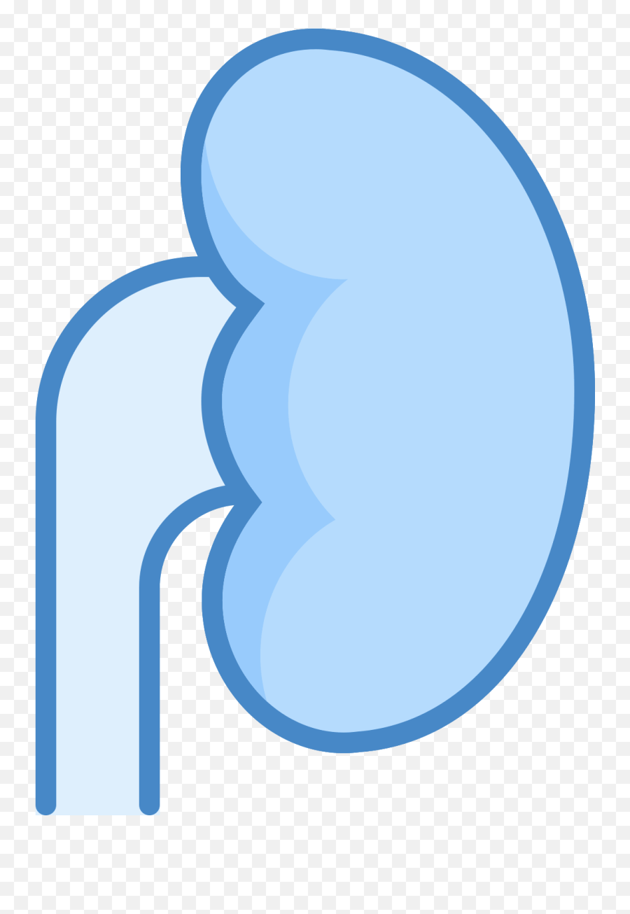 Download The Icon Kidney Resembles In General Left Human - Pbs Kids Go Png,Kidney Png