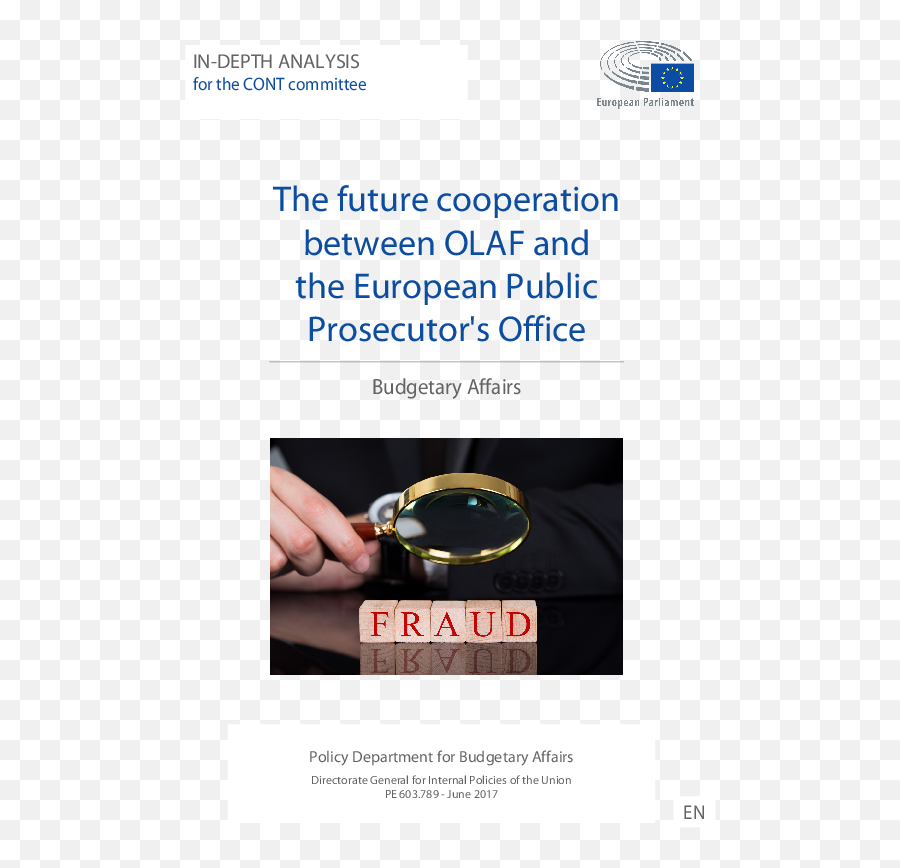 Pdf The Future Cooperation Between Olaf And European - Language Png,Olaf Transparent Background