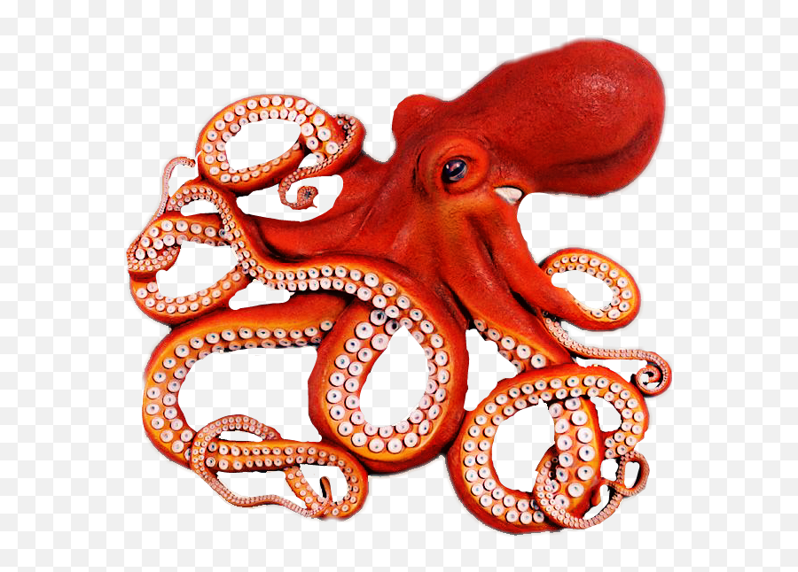 Clipart Octopus Tentacle - Octopus Png,Tentacles Transparent