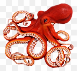 Clipart Octopus Tentacle - Png