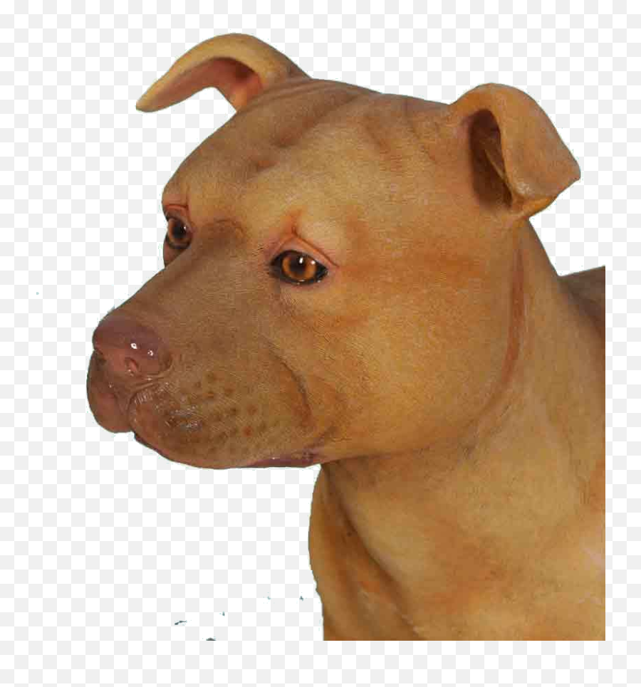 Pitbull Dog Png - Guard Dog,Pit Bull Png