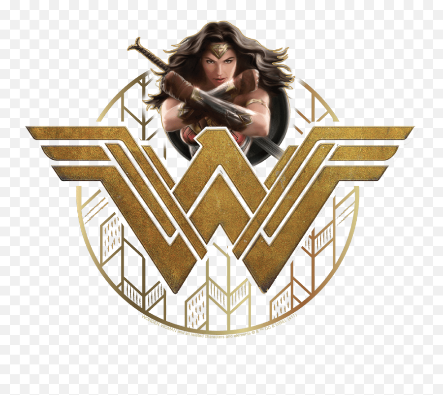 Wonder Woman Power Stance And Emblem Pullover Hoodie - Logo Wonder Woman Movie Png,Stance Logo