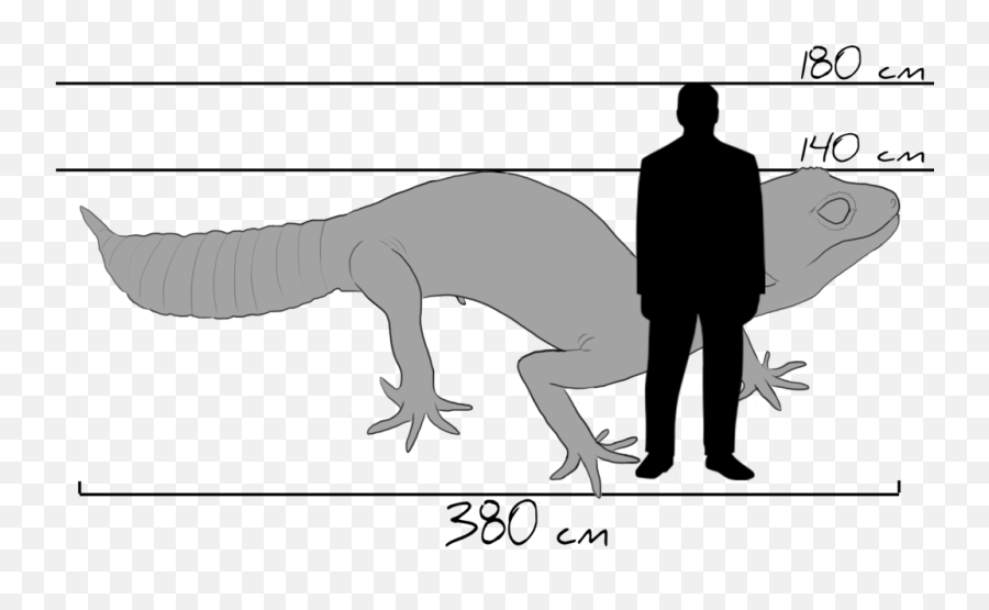 Common Leopard Gecko Drawing Tyrannosaurus Silhouette - Cartoon Leopard Gecko Drawing Png,Leopard Gecko Png