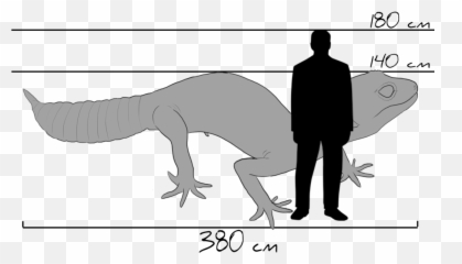 Common Leopard Gecko Drawing Tyrannosaurus Silhouette - Cartoon Leopard Gecko Drawing Png,Leopard Gecko Png