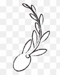 Olive And Branch Icon Image - Canva Floral png