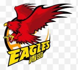 Qingdao Eagles - TheSportsDBcom Logo png
