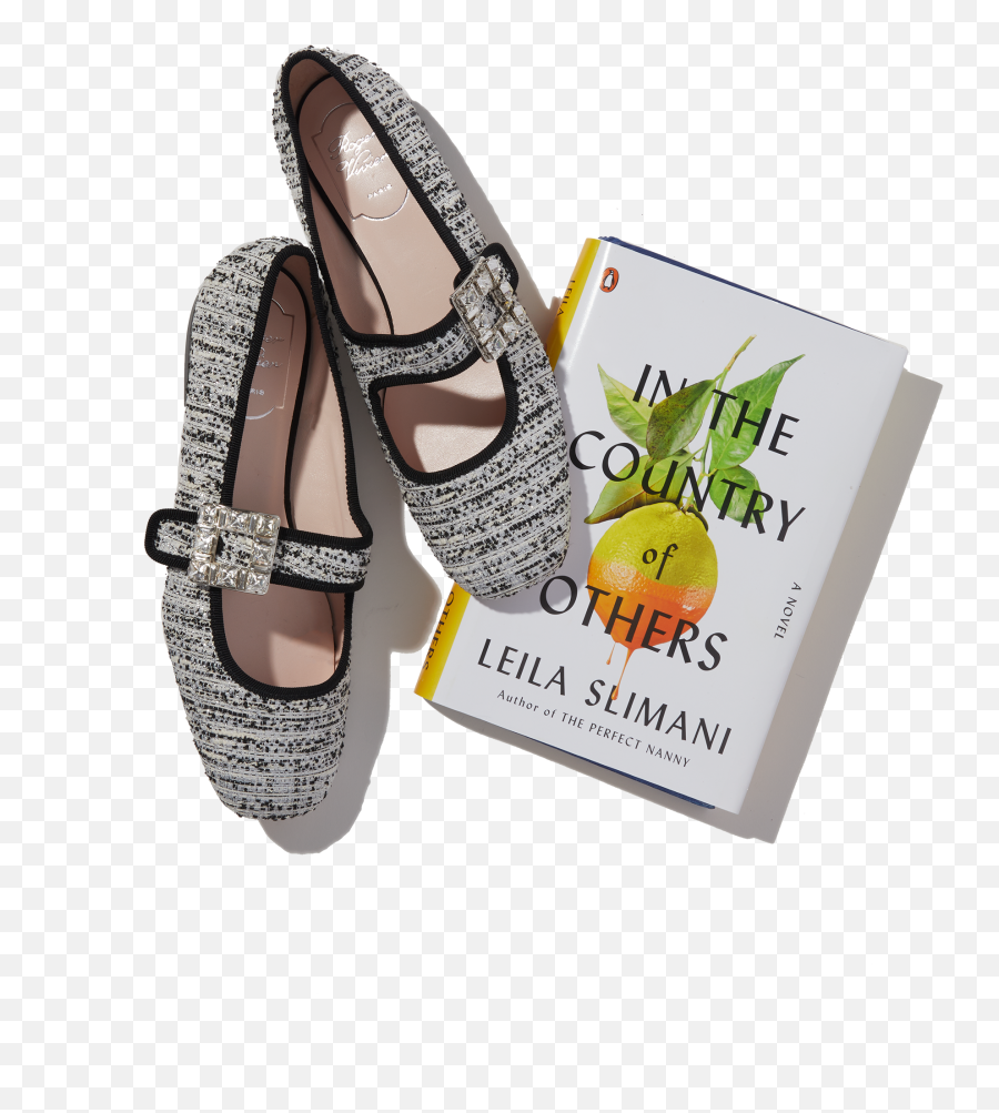 New Books By Sally Rooney Colson Whitehead And More - Round Toe Png,Dance Shoe Icon