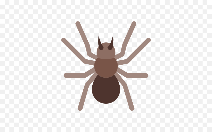 Spider Icon - Free Download Png And Vector Insect,Spider Logos