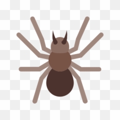 Spider Icon - Free Download PNG and Vector Insect