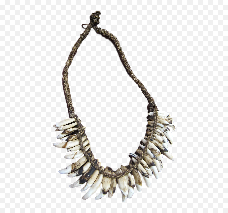 Asmat Dog Tooth - Bone Clipart Full Size Clipart 401598 Necklace Png,Mardi Gras Beads Png