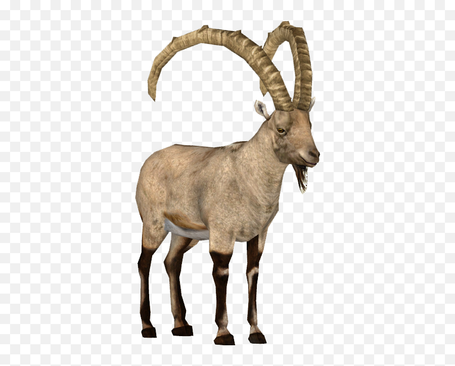 Ibex Clipart - Argali Png,Goat Transparent Background