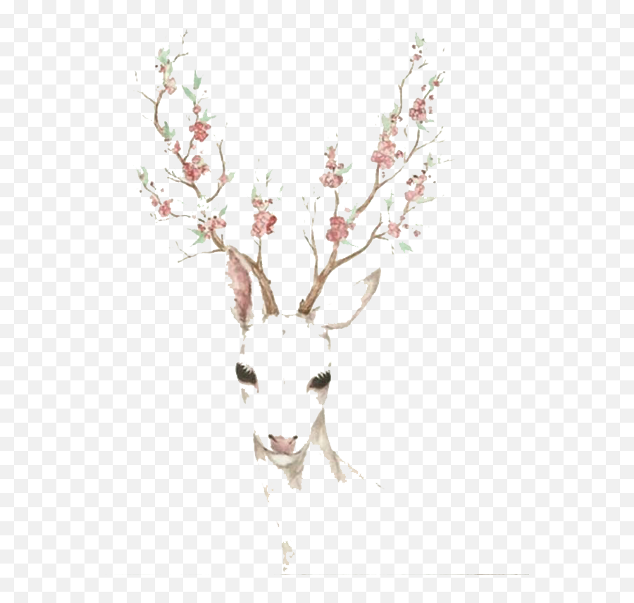 Download Elk Blossom Cherry Deer - Deer With Flower Antlers Drawing Png,Deer Antlers Png