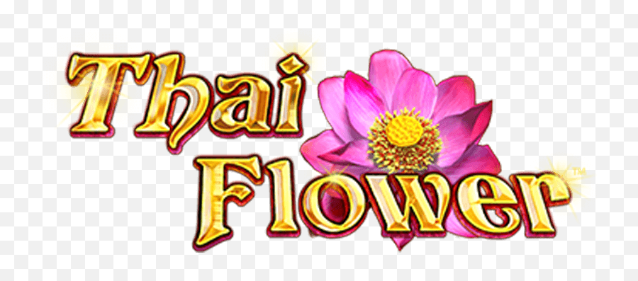 Play Thai Flower Slot Game Betfair Arcade - Thai Flower Slots Game Png,Yellow Flower Logo