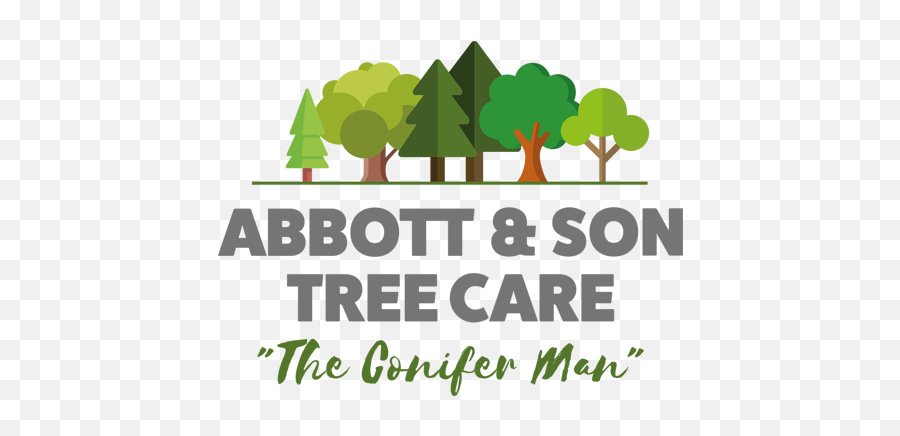 Tree Surgeon Leicester U0026 Leicestershire Abbott Son - Tree Png,Shrubbery Png