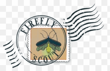 About U2014 Firefly Scout - Clip Art Png,Fireflies Png