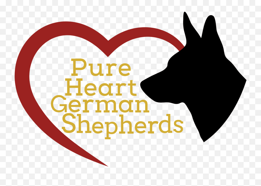Home - Pure Heart German Shepherds Guard Dog Png,German Shepherd Png