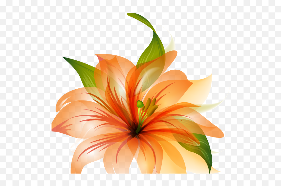 Orange Lily Flower Shower Curtain - Orange Flower Vector Png,Flower Vector Png
