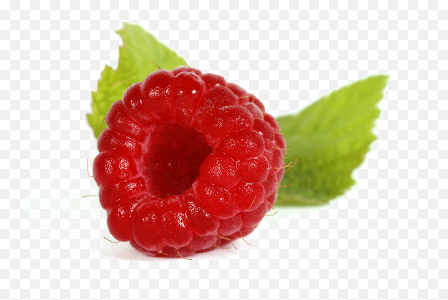 Single Raspberry Png Image Background - Single Raspberry Png,Raspberry Png