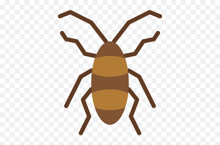Cockroach Png Icon - Icono Cucaracha Png,Cockroach Png