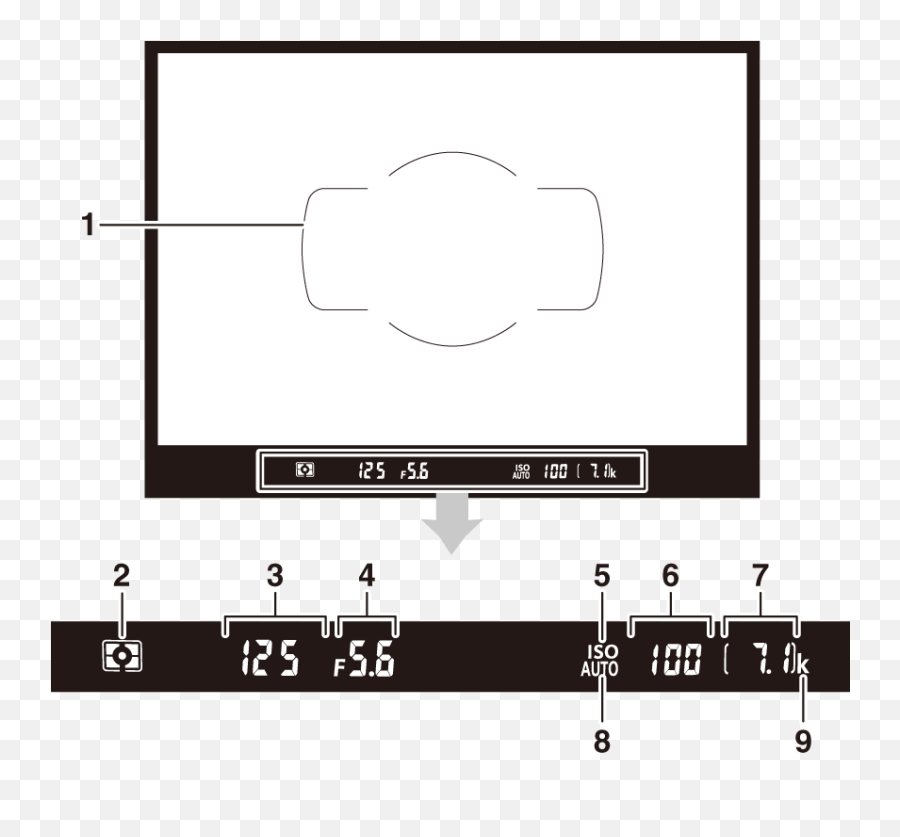 Parts Of The Camera - Vertical Png,Viewfinder Png
