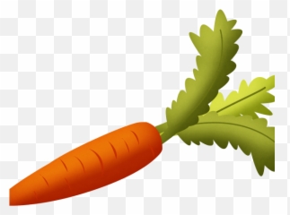 Vegetables Clipart Transparent Background - Carrot Png