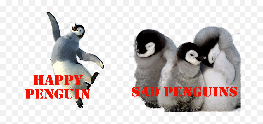 Download Hd League Team Images Penguins - Baby Penguins Baby Penguins Png,Penguins Png