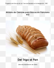 Espigas De Trigo Png - Pan Integral,Trigo Png