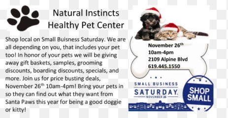 Download Hd Small Buisness Sat Natural Instincts - Business Saturday 2011 png