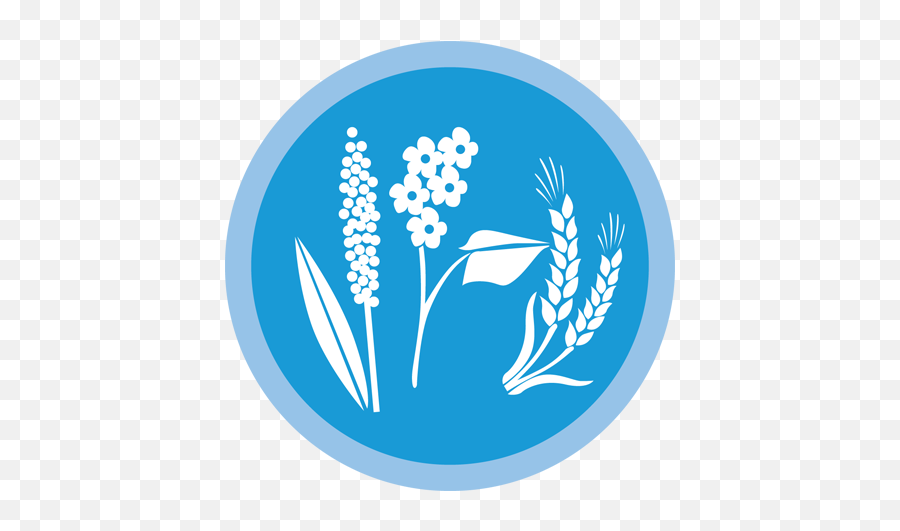 Wheat Icon New - Video Game Full Size Png Download Seekpng Grains,Wheat Icon Png