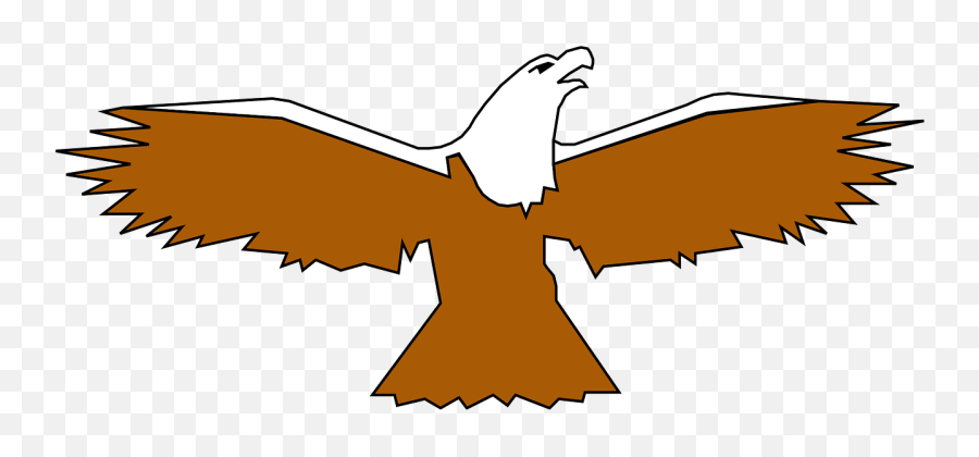Eagle Bird Spread Wings Png - Bird With Its Wings Out,Spread Eagle Icon