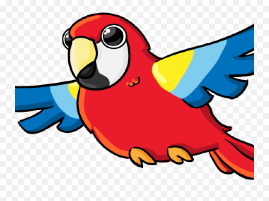 Music Notes Hatenylo Com Google Search Png Parrot Transparent Background