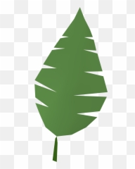 Free Jungle Leaf Template Download 194370 - PNG Palm Tree Clipart