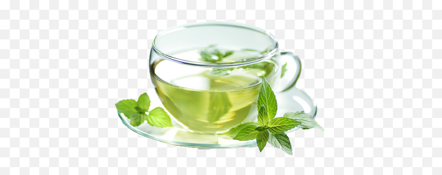 Green Tea Png Transparent Images Free Download