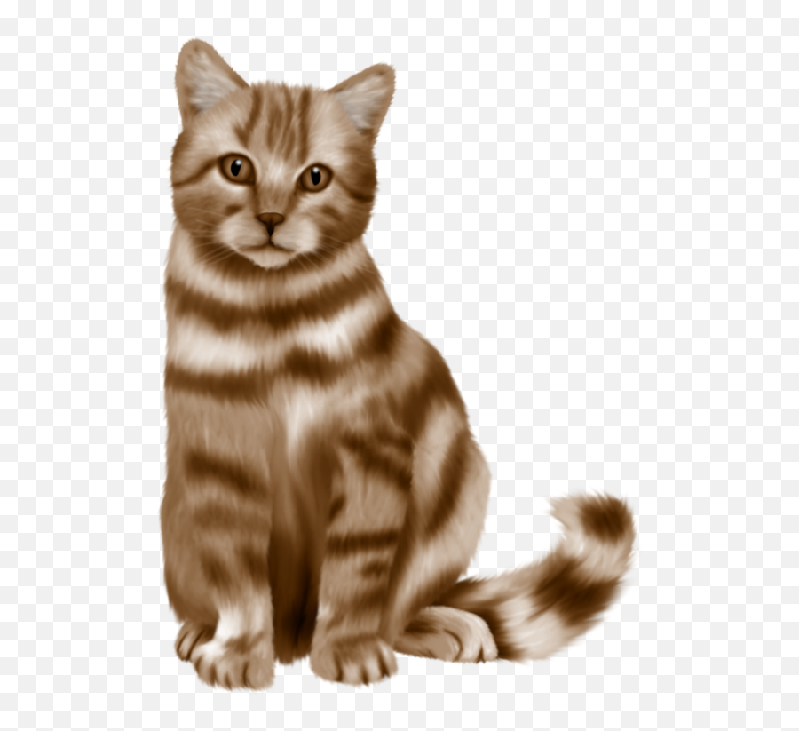 Cute Cat Png Picture - Real Looking Cartoon Cats,Cute Cat Png