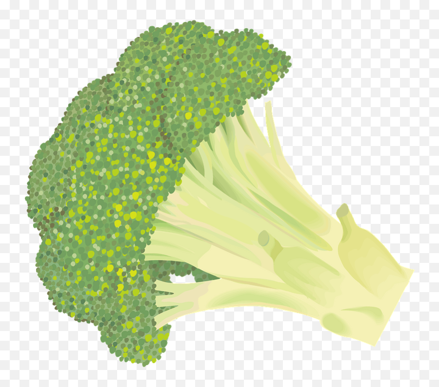 Broccoli Vegetable Clipart Free Download Creazilla - Broccoli Png,Broccoli Transparent