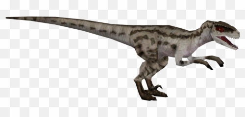 Download Jpog Velociraptor - Zt2 Velociraptor Jurassic World Png,Velociraptor Png