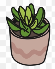 Plants Succulents Green Tranquil - Suculentas Png