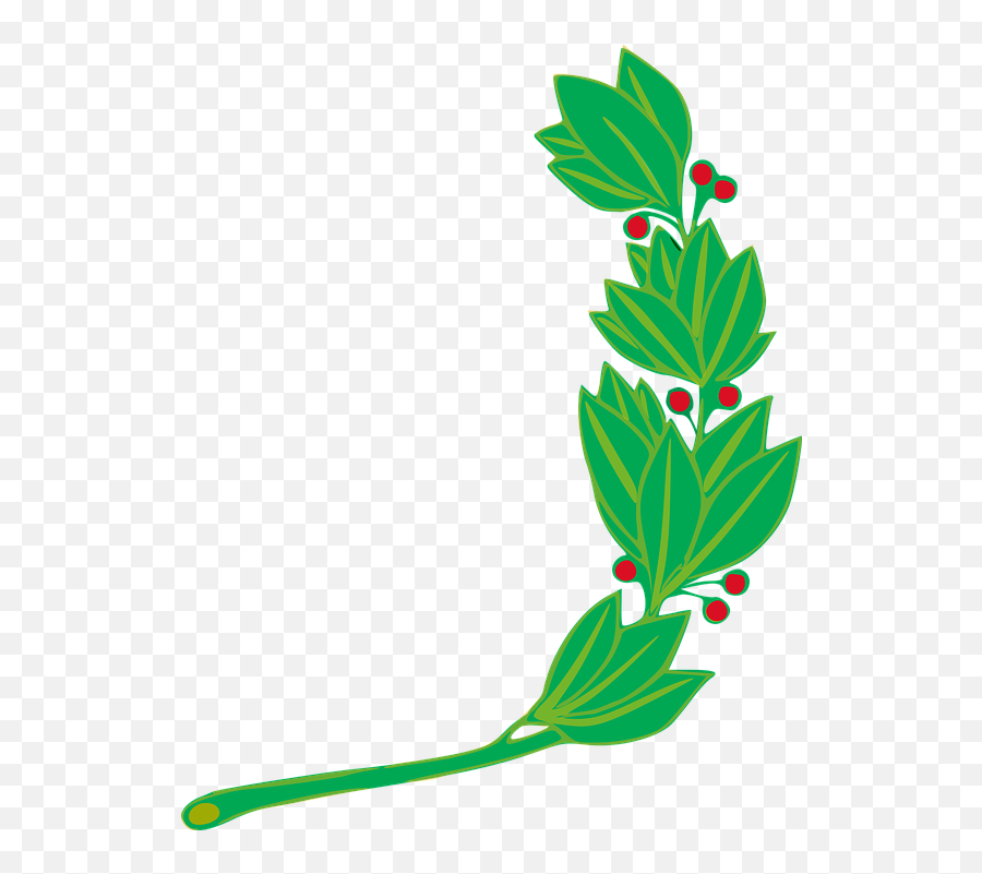 Branch Laurel Leaf - Free Vector Graphic On Pixabay Simbolo Da Bandeira Do Peru Png,Laurel Png
