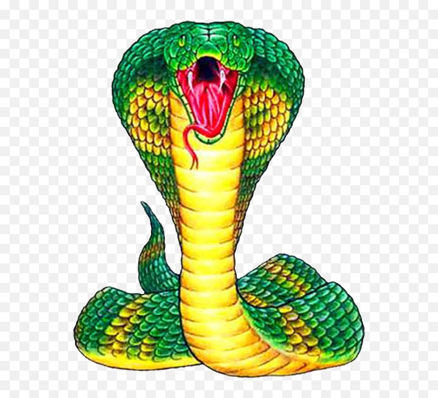 King Cobra Snake Clipart Png Image - Tattoo Cobra Snake,King Cobra Png