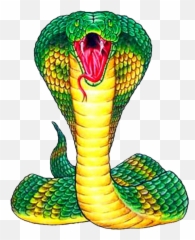 King Cobra Snake Clipart Png Image - Tattoo