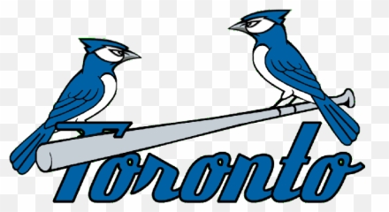 Download Toronto Blue Jays Png - Mlb St Louis Cardinals Logo,Blue Jay Png