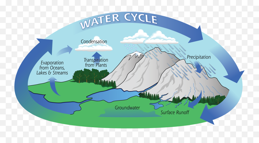 The Water Cycle - Water Cycle In Coral Reefs Png,Condensation Png